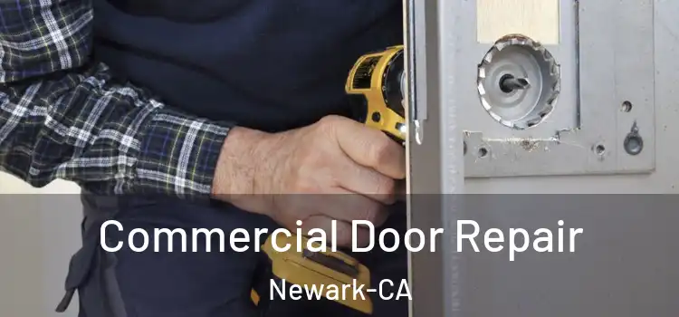  Commercial Door Repair Newark-CA