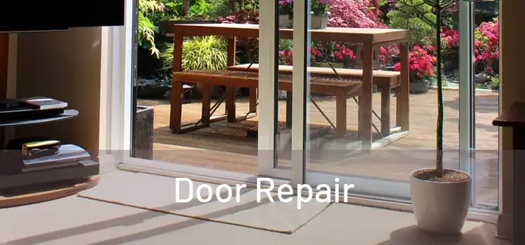  Door Repair 