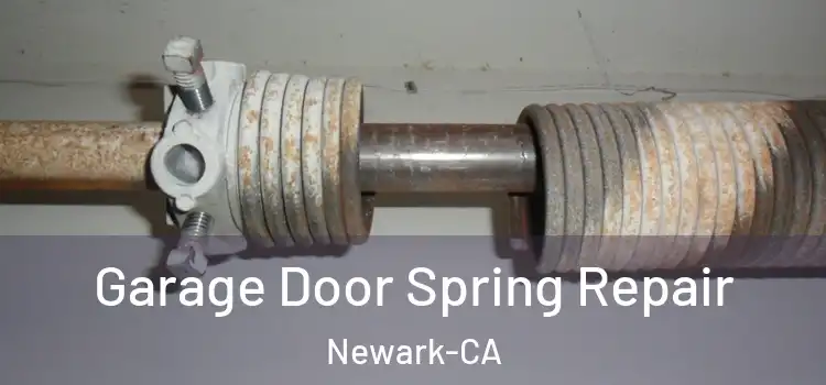  Garage Door Spring Repair Newark-CA