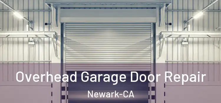  Overhead Garage Door Repair Newark-CA